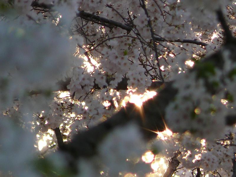 P1160399.JPG