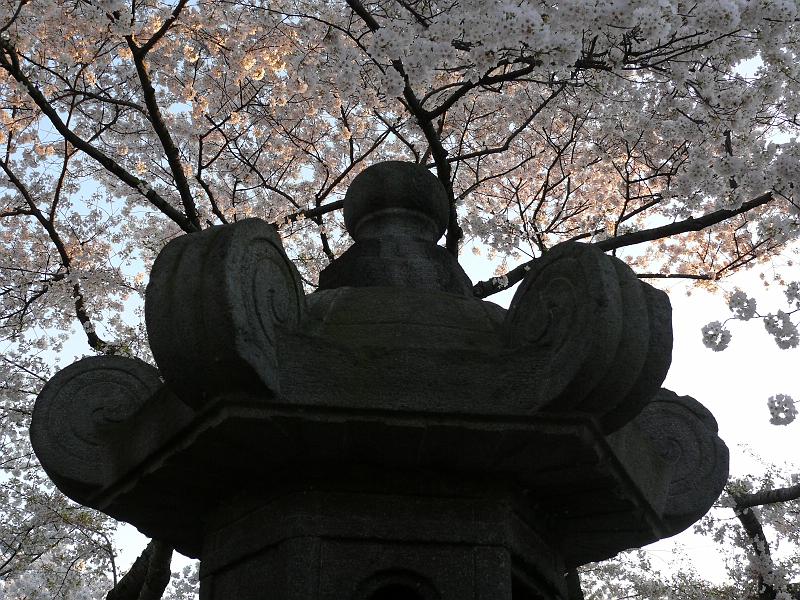 P1160404.JPG - The original stone lantern given to the United States by Mayor Yukio Ozaki of Tokyo to the city of Washington in 1912 -- along with 3,000 cherry trees.