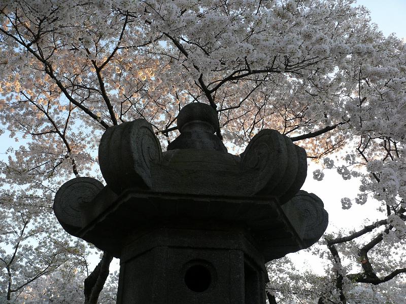 P1160405.JPG