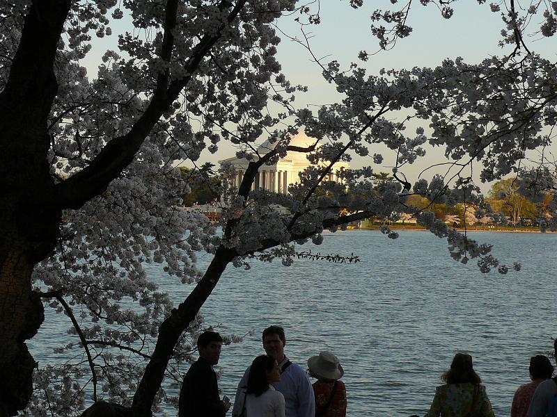 P1160406.JPG