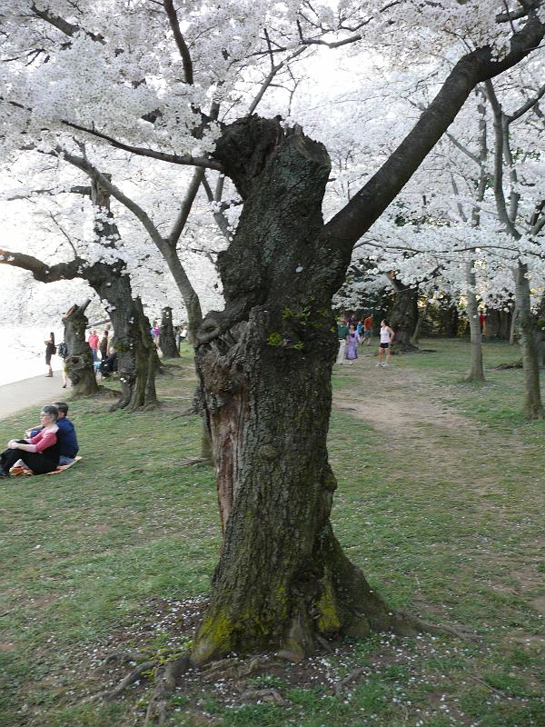 P1160419.JPG