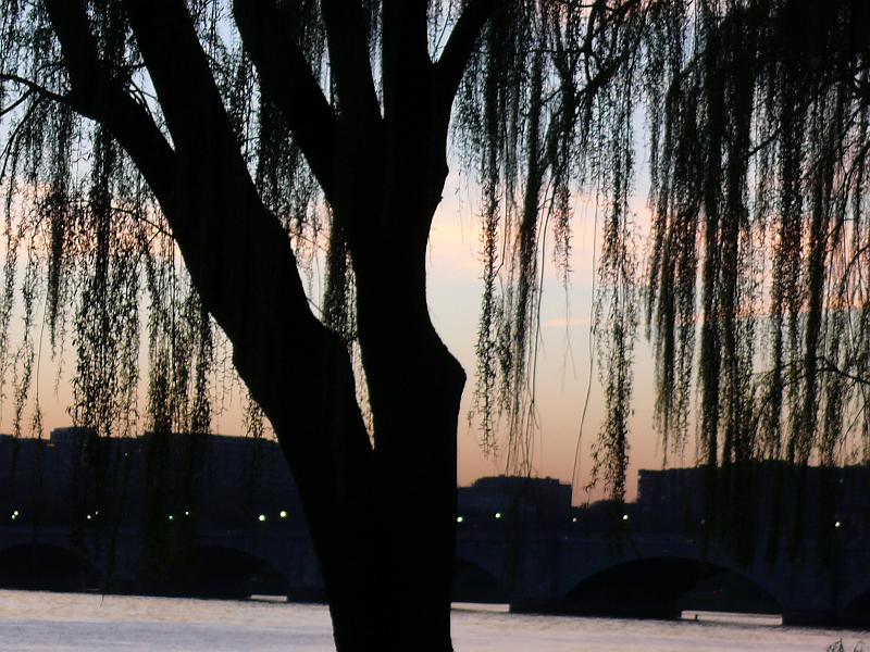 P1160471.JPG