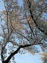 P1160409