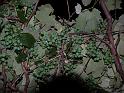 P1150111