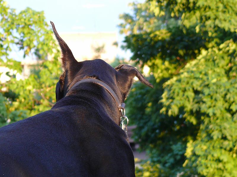 P1160746.JPG
