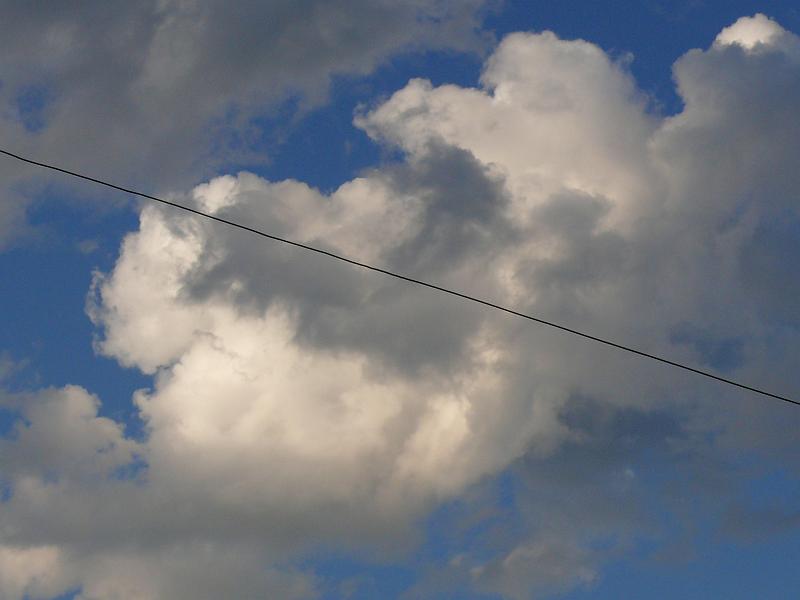 P1160761.JPG