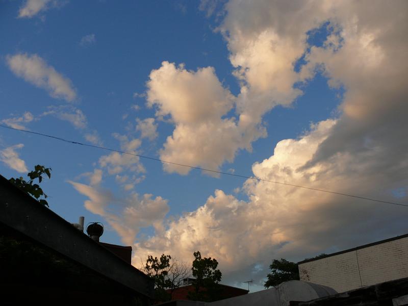 P1160767.JPG