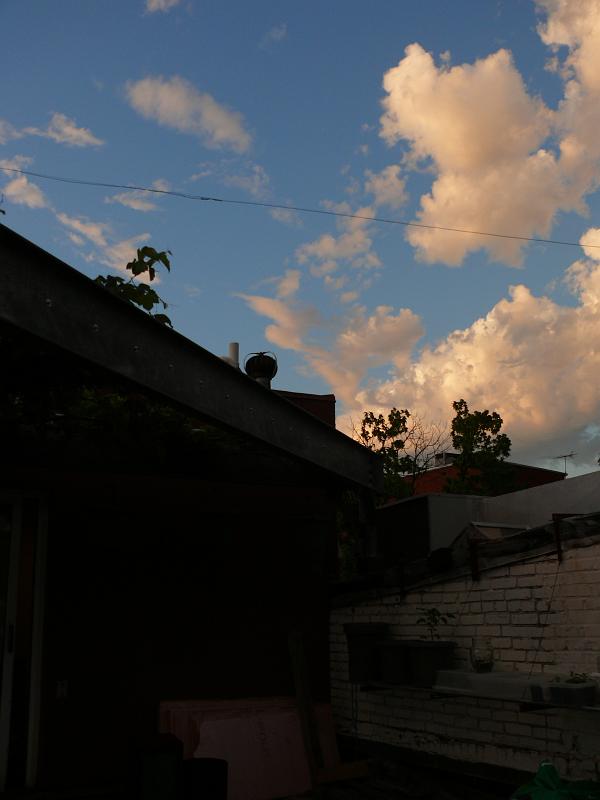 P1160770.JPG