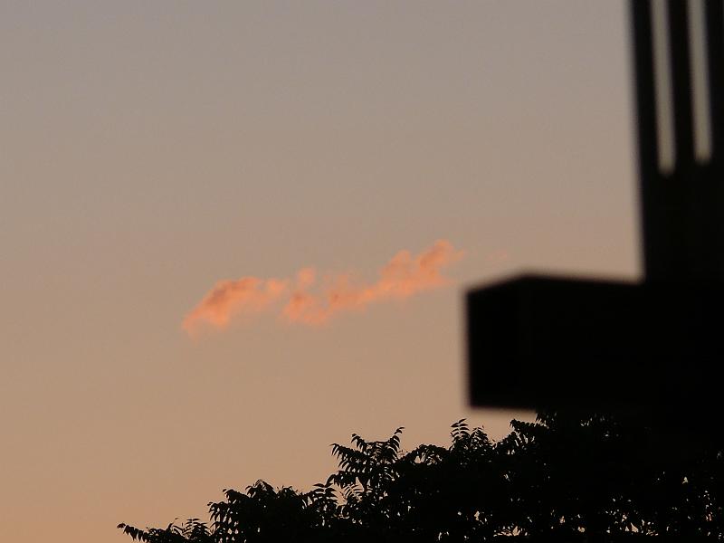 P1160775.JPG