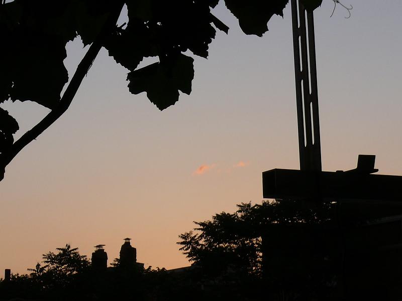 P1160776.JPG