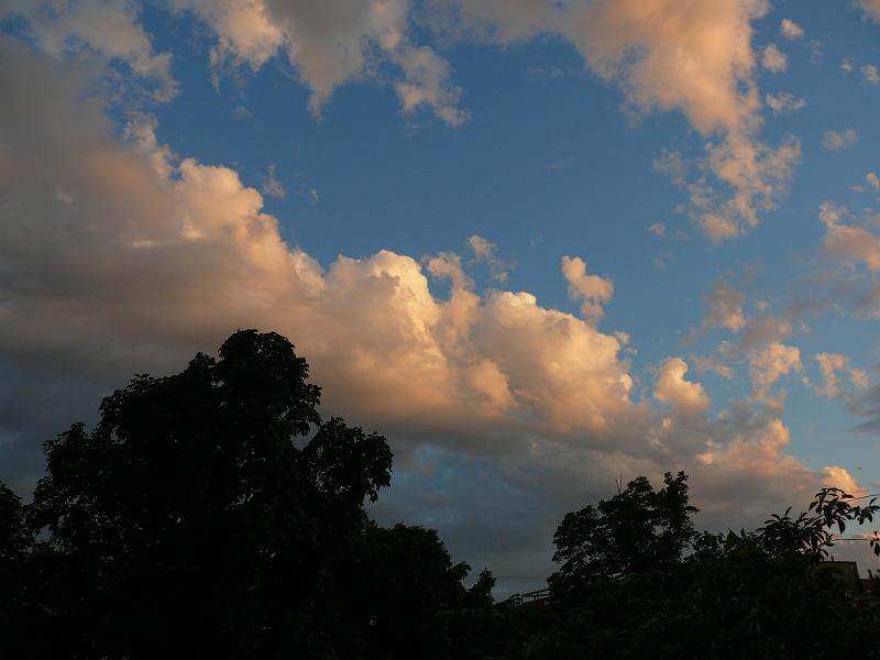 P1160786.JPG