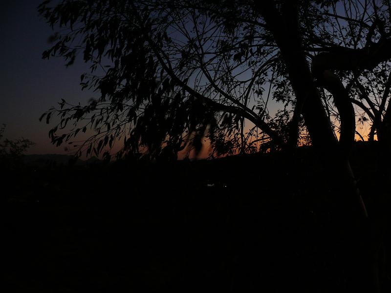 P1150858.JPG
