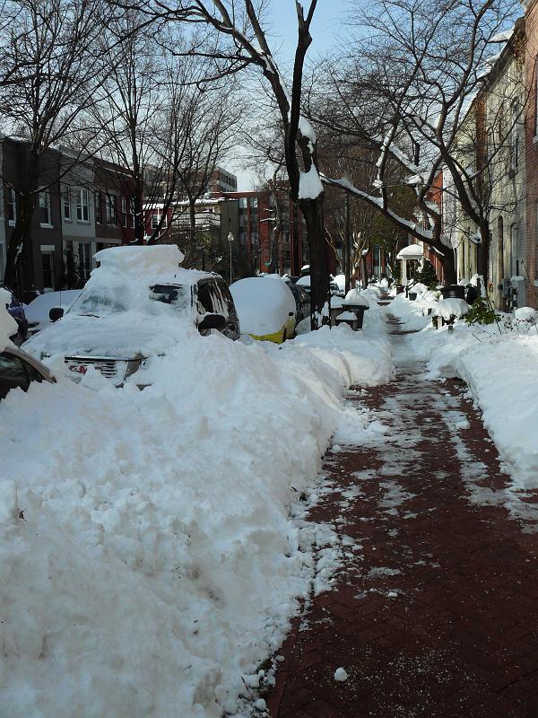P1150992.JPG - Can you believe the sidewalks are clear 2 days later?