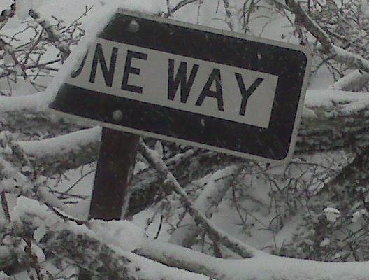 10.jpg - Taken at 8:30 AM by Chor on her run though Rock Creek Park towards Georgetown.  Lots of trees were down.