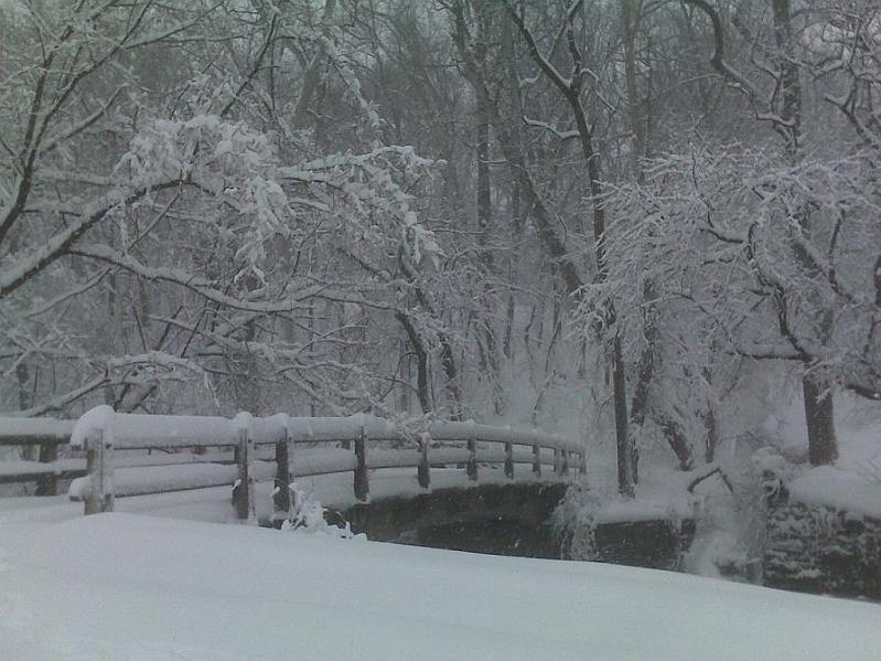 12.jpg - Taken at 8:30 AM by Chor on her run though Rock Creek Park towards Georgetown.   The bike path bridge over Rock Creek.