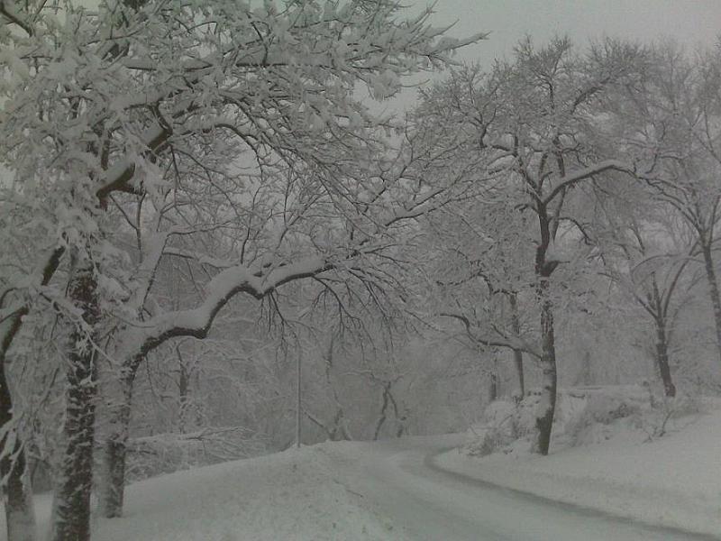 13.jpg - Taken at 8:30 AM by Chor on her run though Rock Creek Park towards Georgetown. The Rock Creek parkway looks deserted.