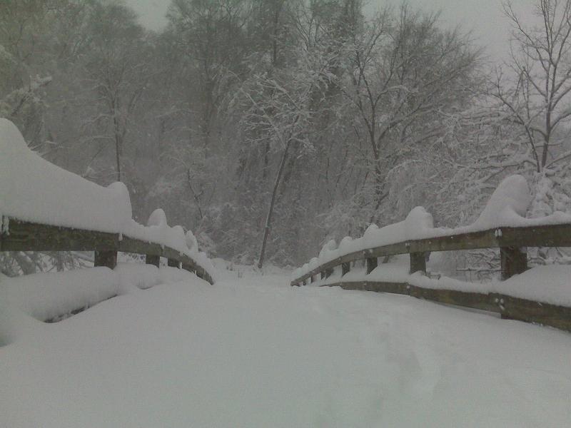 14.jpg - Taken at 8:30 AM by Chor on her run though Rock Creek Park towards Georgetown. The bike path bridge over Rock creek.