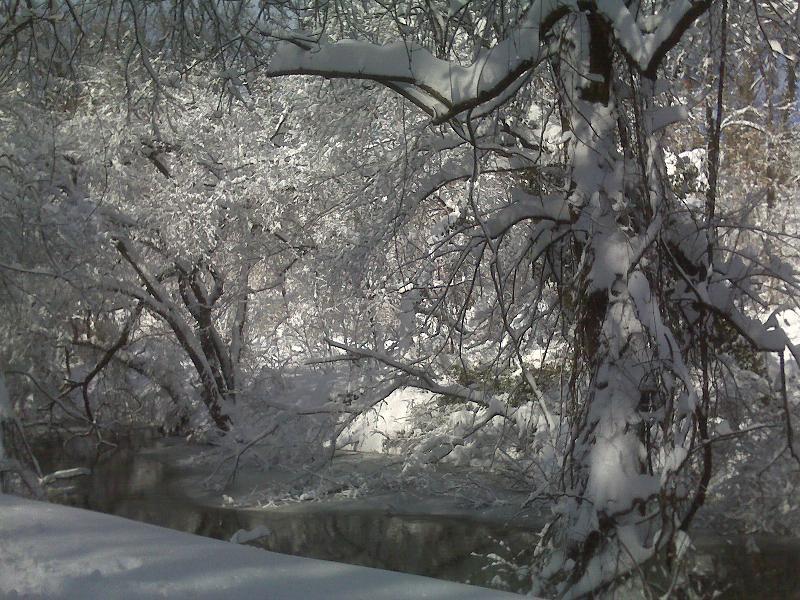 28.jpg - Taken at 8:30 AM by Chor on her run though Rock Creek Park towards Georgetown.   It's her favorite shot from her jog that morning.