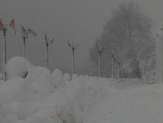 5.jpg - Taken at 8:30 AM by Chor on her run though Rock Creek Park towards Georgetown.  The snow continues to fall making everything monochromatic.