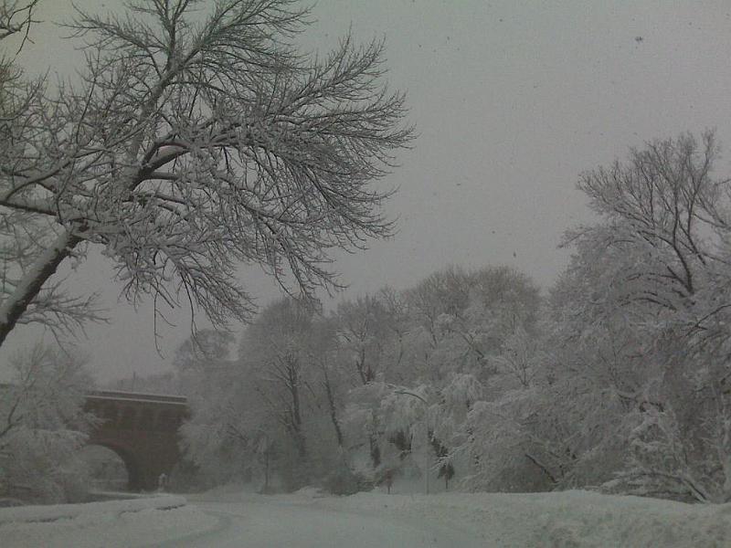 8.jpg - Taken at 8:30 AM by Chor on her run though Rock Creek Park towards Georgetown.  View from Rock Creek parkway.