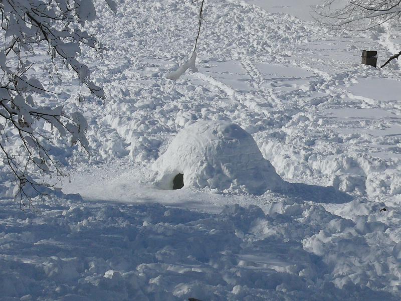 P1160136.JPG - There was even a sizeable igloo on "P" Street Beach.  A grown person could stand up inside.
