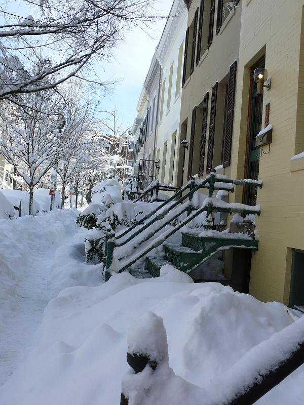 P1160183.JPG - The south side of Newport Place is a challenge to dig out