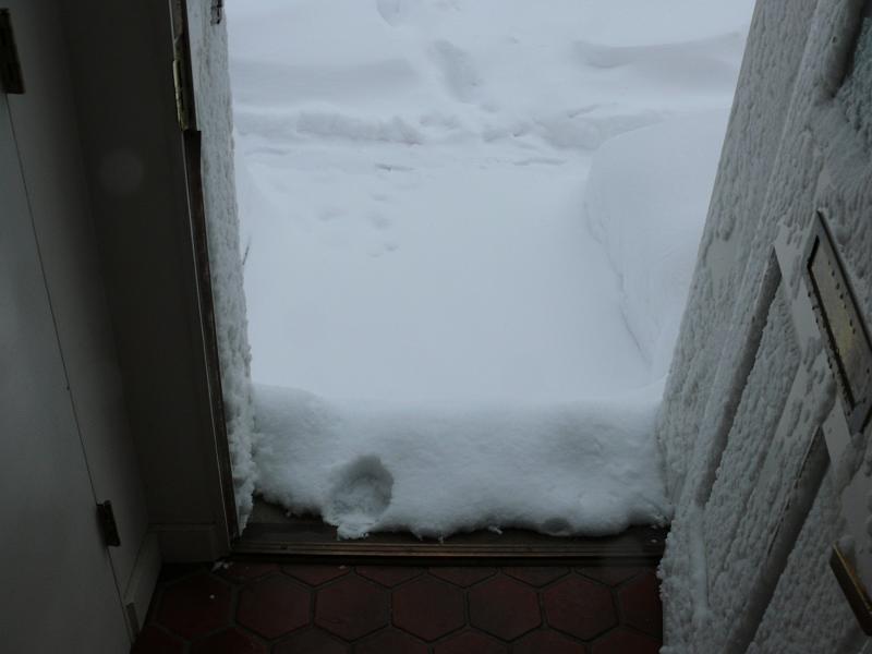 P1160190.JPG - Win's door.  The dog took one step and decided he'd cross his legs a while longer...