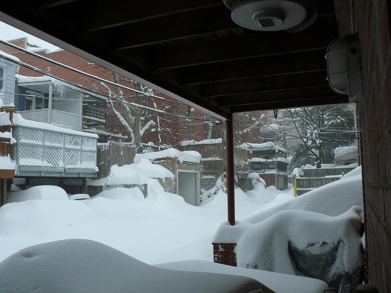 P1160195.JPG - Looking at the back of the houses on "O" Street (across the alley from Woody at 3PM 2/10/10)