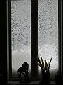 P1160200